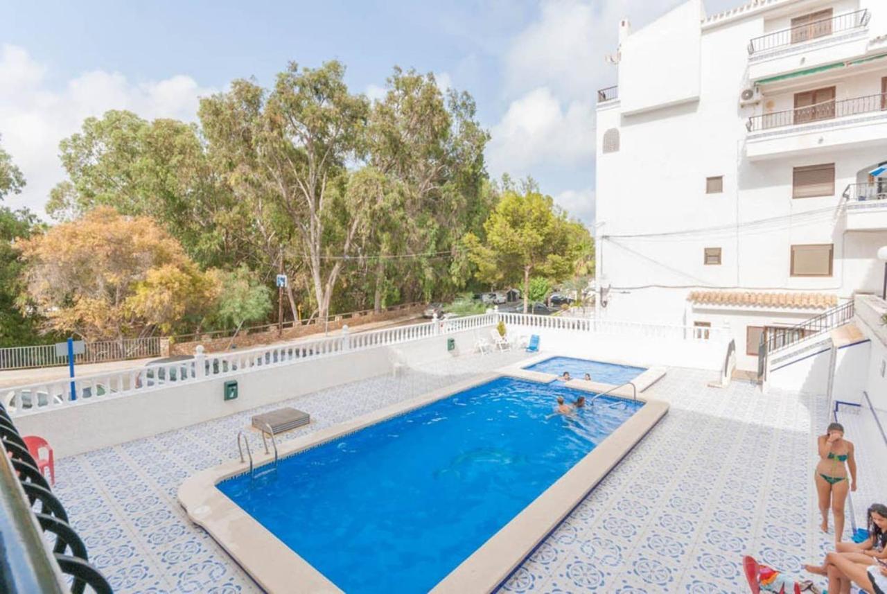 Playa Flamenca Splendid Apartment On The Beach Alicante Eksteriør billede