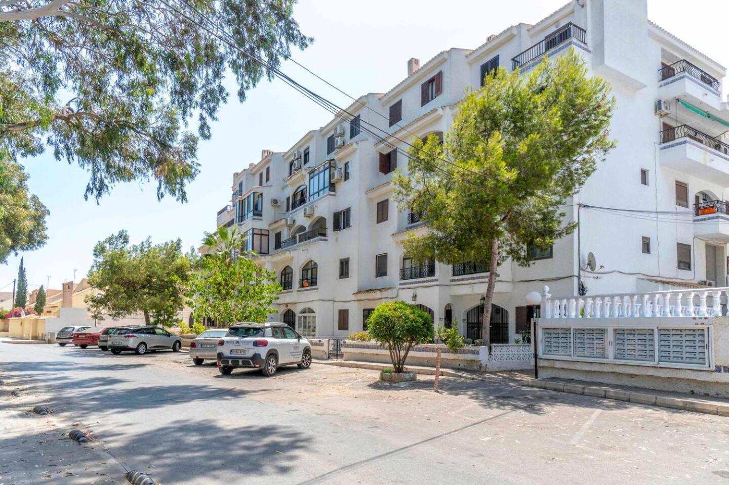Playa Flamenca Splendid Apartment On The Beach Alicante Eksteriør billede