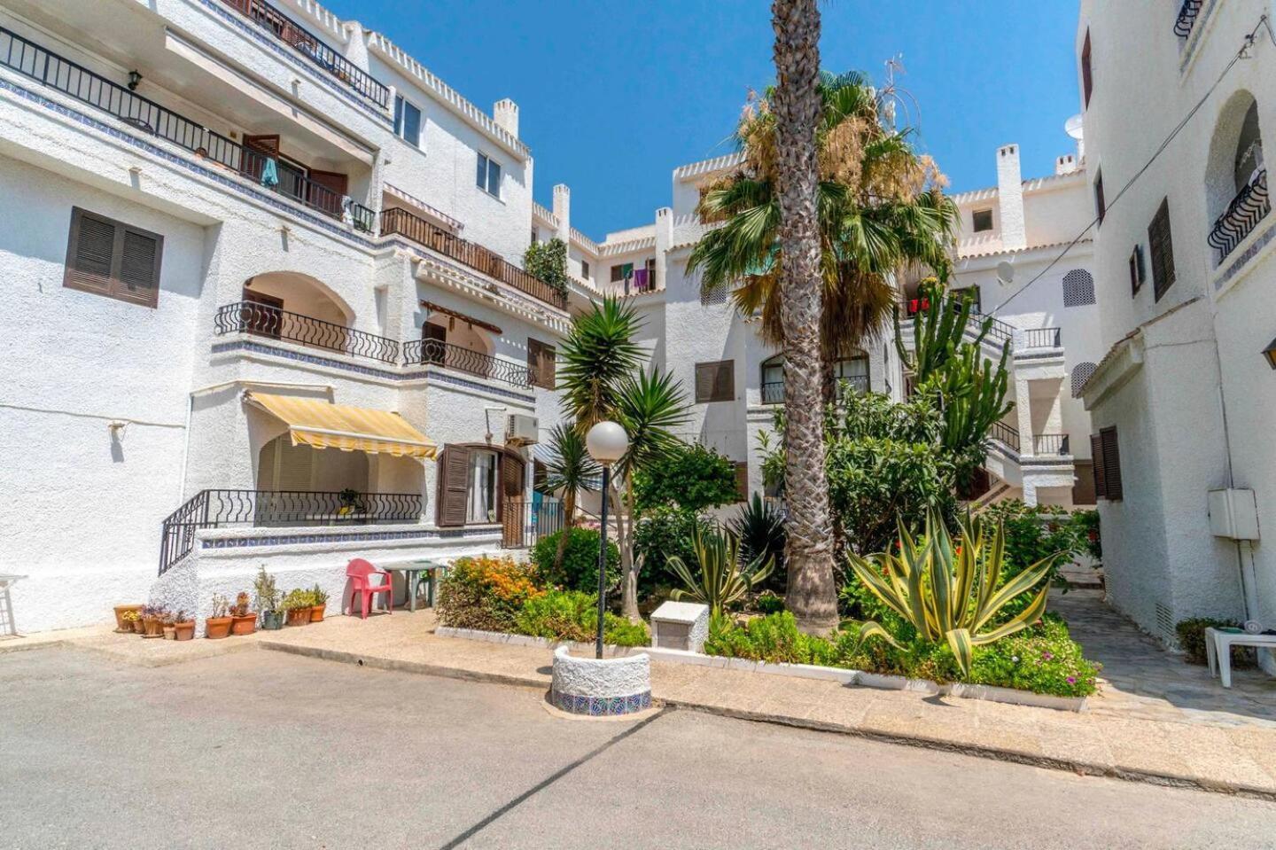 Playa Flamenca Splendid Apartment On The Beach Alicante Eksteriør billede
