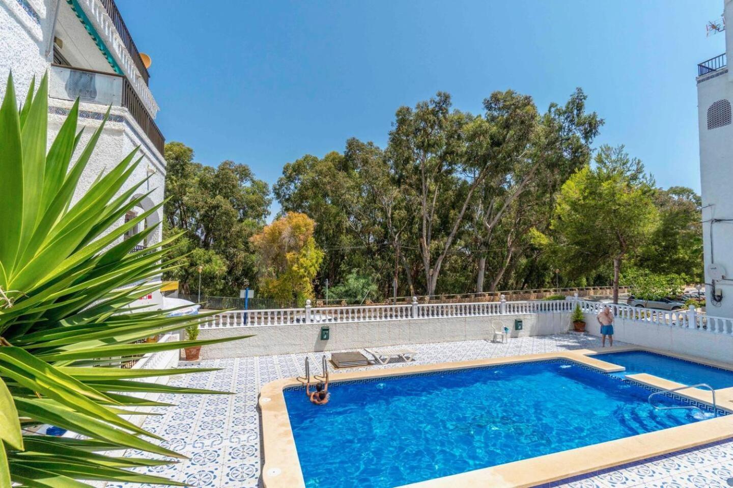 Playa Flamenca Splendid Apartment On The Beach Alicante Eksteriør billede