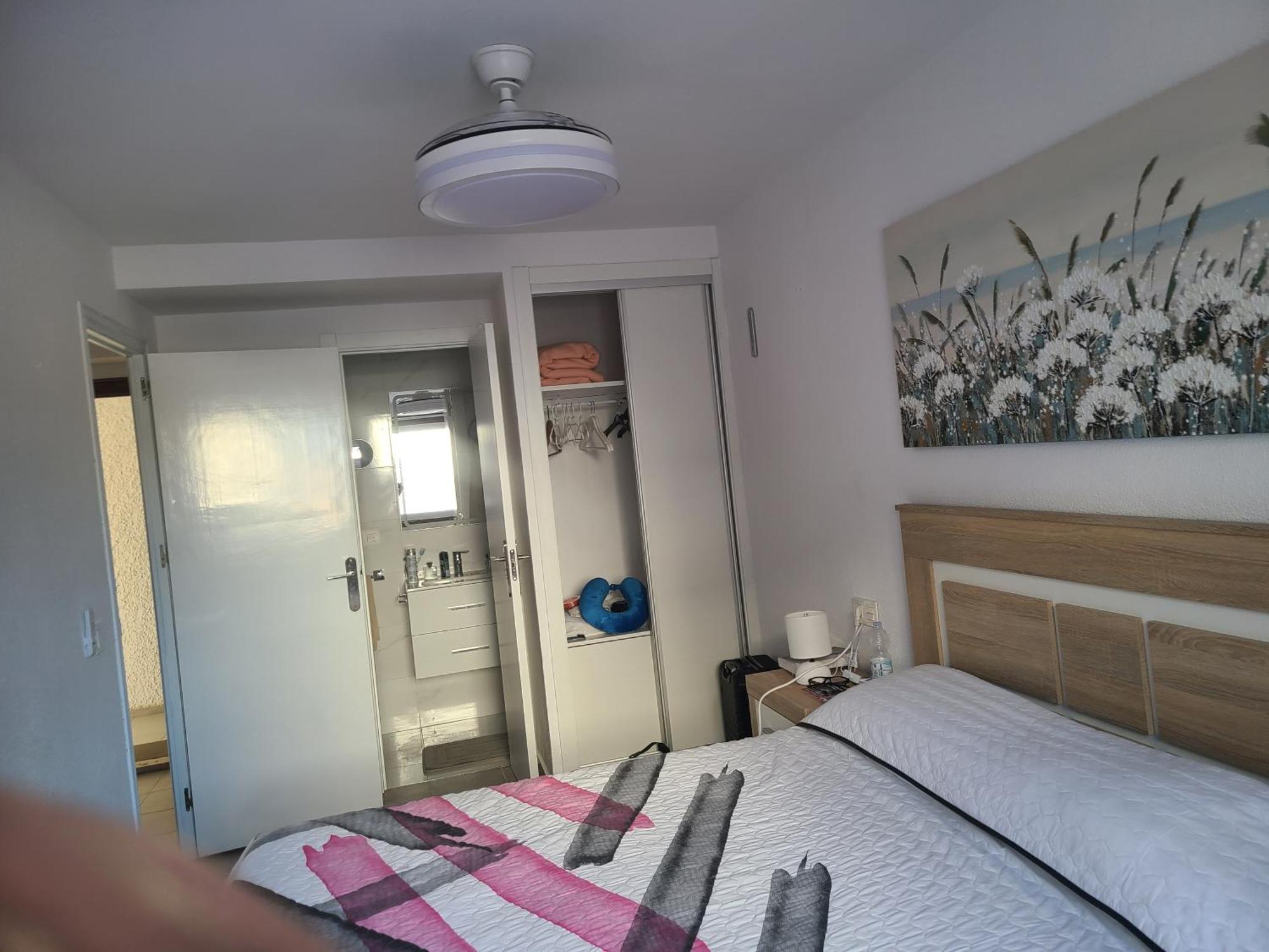 Playa Flamenca Splendid Apartment On The Beach Alicante Eksteriør billede