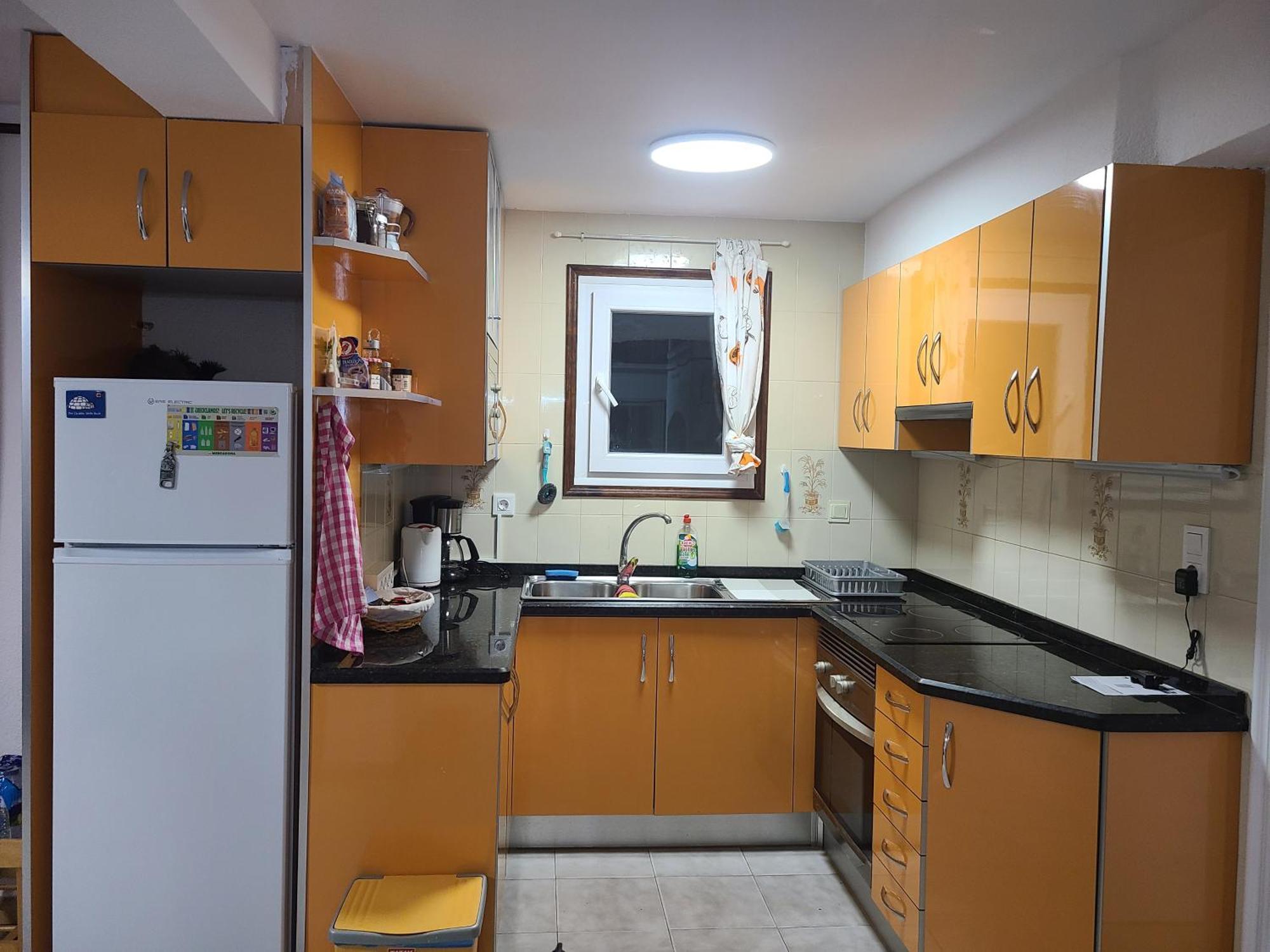 Playa Flamenca Splendid Apartment On The Beach Alicante Eksteriør billede